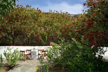 Hôtel Maistros à Sifnos Island Extérieur photo